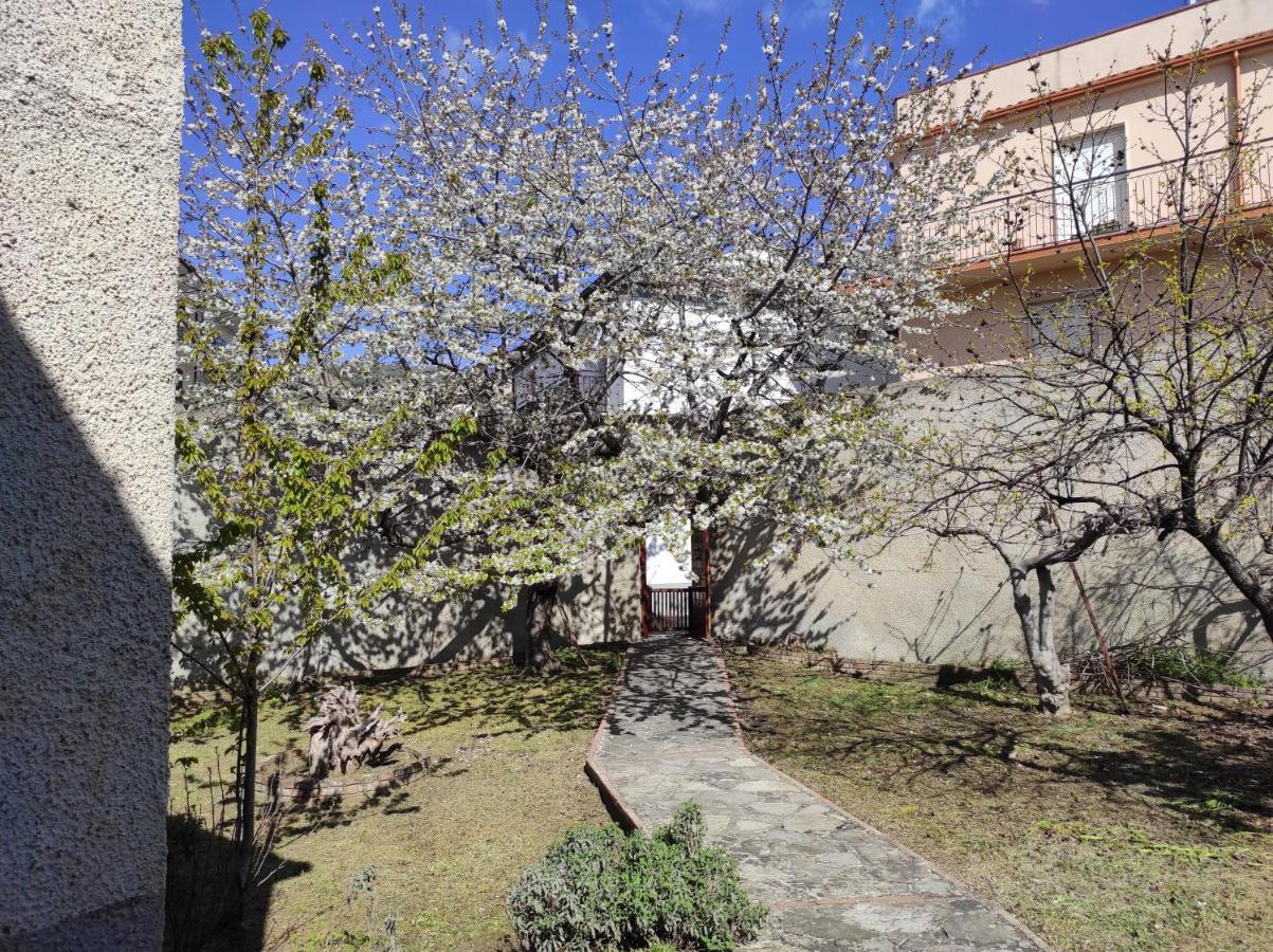 Antica Dimora Palazzo Rovitti Bed & Breakfast Cerchiara di Calabria Exterior photo